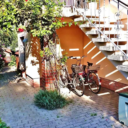 Apartment Im Wiesengrund *